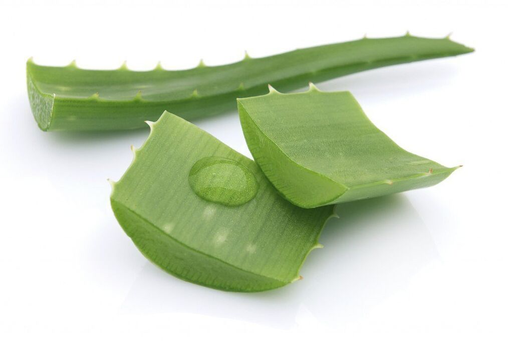 aloe a mellkasi osteochondrosis kezelésére